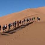 Desert Trekking UAE