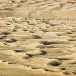 Liwa Dunes