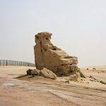 Fossil Sand Abu Dhabi