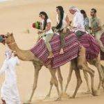 Camel rides Abu Dhabi